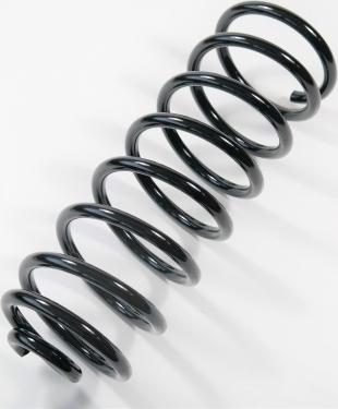 APEX 66854 - Coil Spring car-mod.net