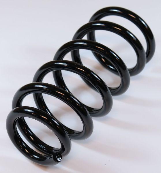 APEX 66819 - Coil Spring car-mod.net