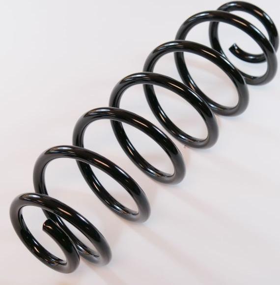 APEX 66790 - Coil Spring car-mod.net