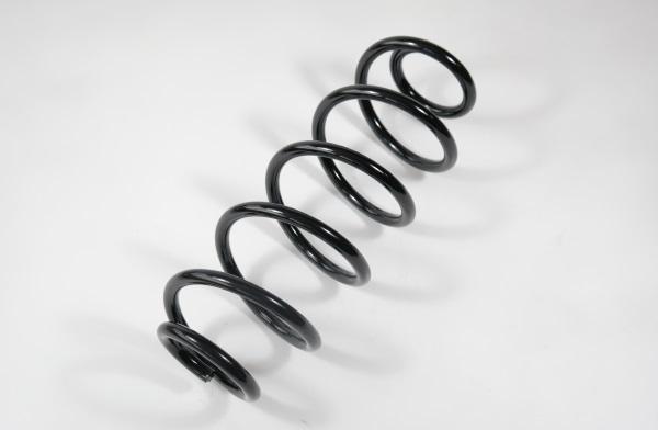 APEX 66792 - Coil Spring car-mod.net
