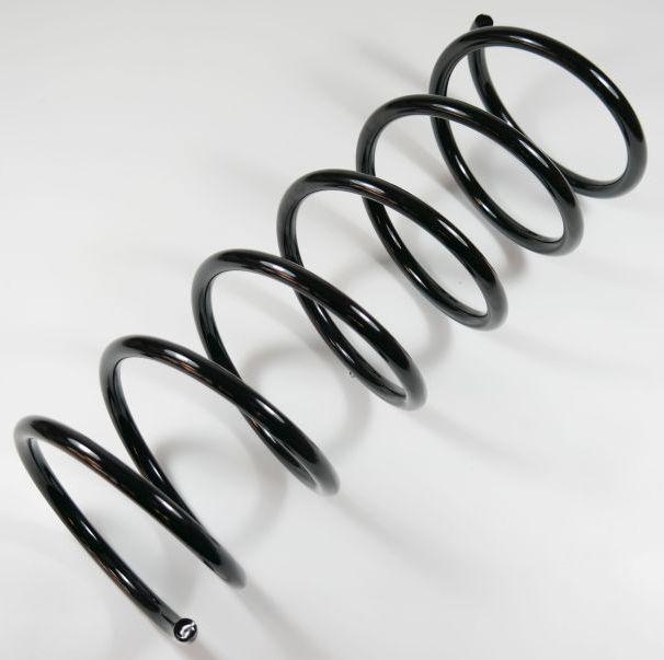 APEX 66743 - Coil Spring car-mod.net