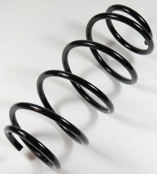 APEX 66751 - Coil Spring car-mod.net