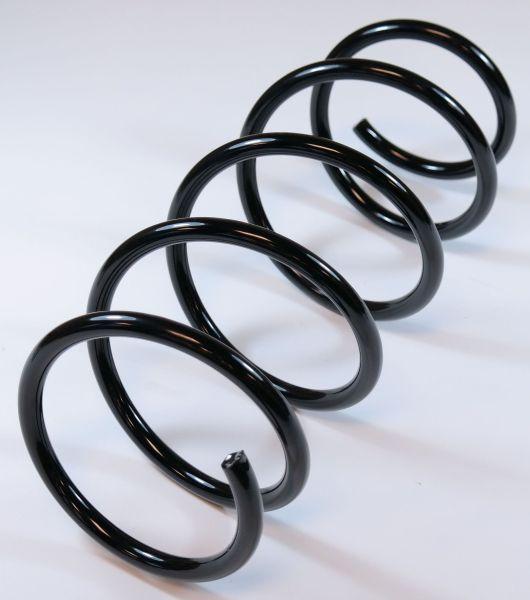 APEX 66717 - Coil Spring car-mod.net