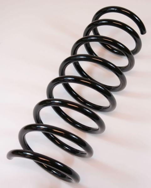 APEX 66733 - Coil Spring car-mod.net