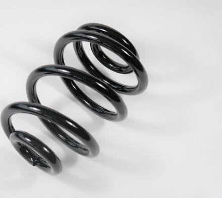 APEX 63610 - Coil Spring car-mod.net