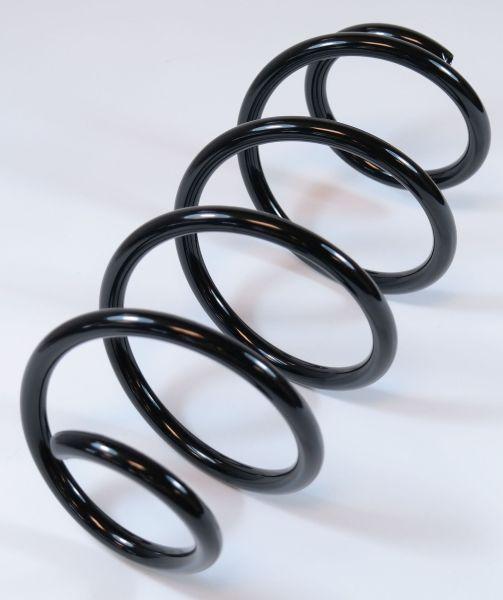 APEX 63755 - Coil Spring car-mod.net