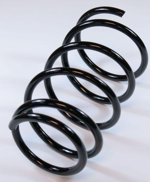 APEX 62913 - Coil Spring car-mod.net