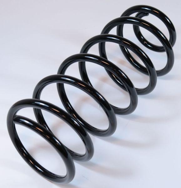 APEX 62887 - Coil Spring car-mod.net