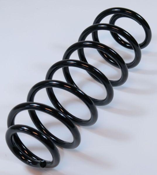 APEX 62873 - Coil Spring car-mod.net