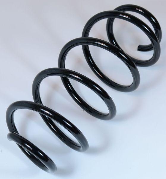 APEX 67187 - Coil Spring car-mod.net