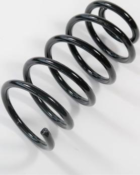 APEX 67214 - Coil Spring car-mod.net