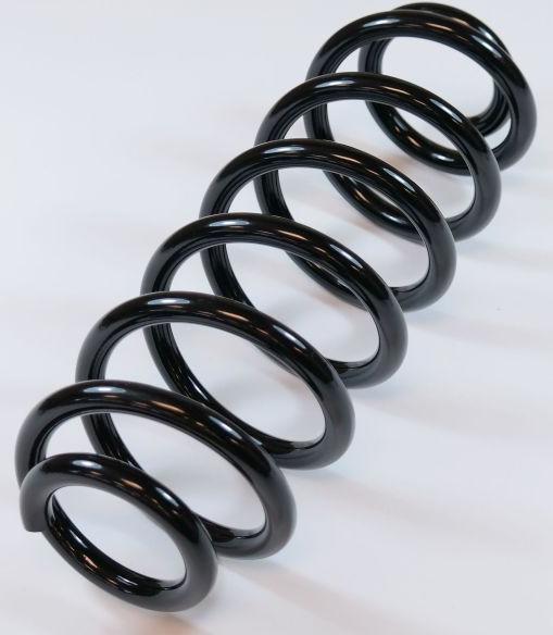 APEX 67289 - Coil Spring car-mod.net