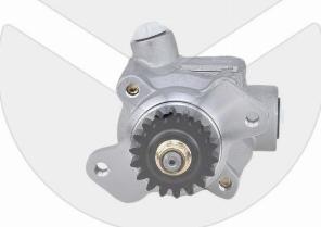 APSRemaGermany 301290 - Hydraulic Pump, steering system car-mod.net