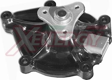AP XENERGY X206152 - Water Pump car-mod.net