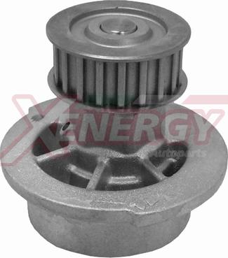 AP XENERGY X201431 - Water Pump car-mod.net