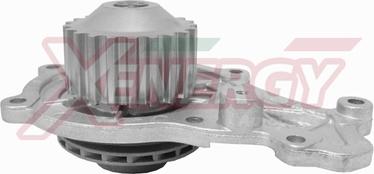 AP XENERGY X202942 - Water Pump car-mod.net
