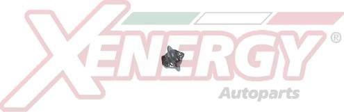 AP XENERGY XT4898.92 - Coolant thermostat / housing car-mod.net