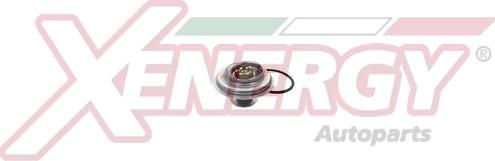 AP XENERGY XT5111.88 - Coolant thermostat / housing car-mod.net