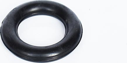 ASAM 55481 - Holding Bracket, silencer car-mod.net