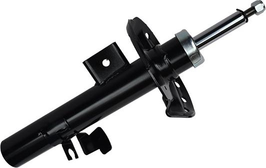 ASAM 55053 - Shock Absorber car-mod.net