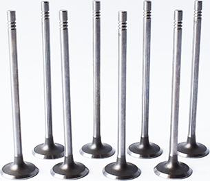 ASAM 55828 - Inlet Valve car-mod.net