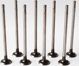 ASAM 55827 - Outlet valve car-mod.net