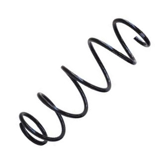 ASAM 65498 - Coil Spring car-mod.net