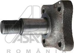 ASAM 30319 - Wheel Hub car-mod.net