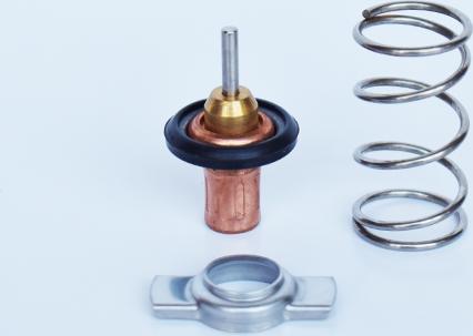 ASAM 33919 - Coolant thermostat / housing car-mod.net