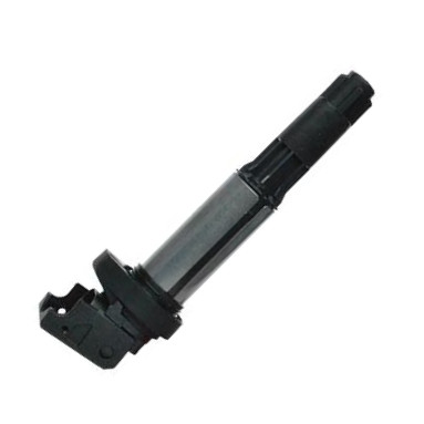ASAM 74119 - Ignition Coil car-mod.net