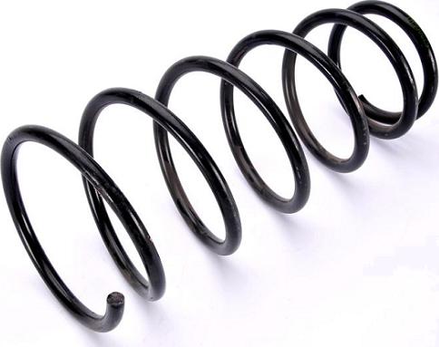 ASAM 75983 - Coil Spring car-mod.net