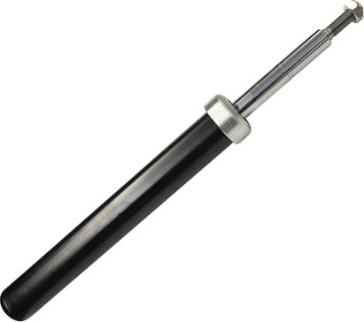 ASAM 70419 - Shock Absorber car-mod.net