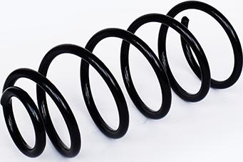 ASAM 73812 - Coil Spring car-mod.net