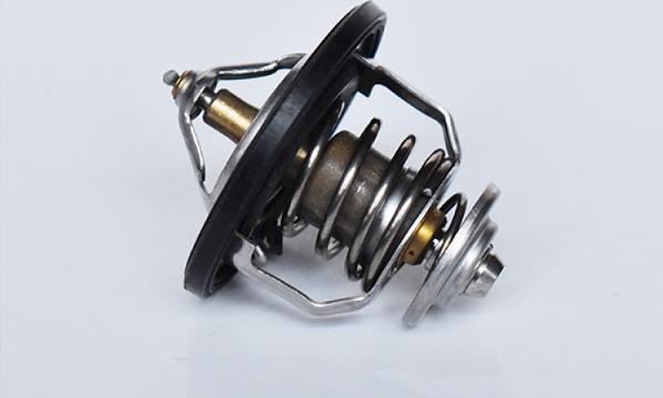 ASAM 73397 - Coolant thermostat / housing car-mod.net