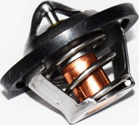 ASAM 73347 - Coolant thermostat / housing car-mod.net