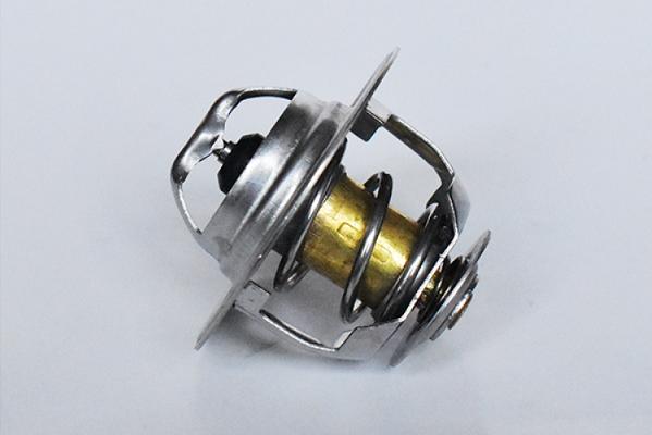 ASAM 73350 - Coolant thermostat / housing car-mod.net