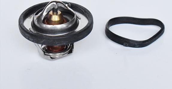 ASAM 73379 - Coolant thermostat / housing car-mod.net