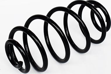 ASAM 73796 - Coil Spring car-mod.net