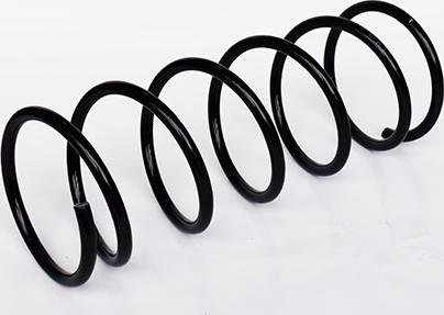 ASAM 73744 - Coil Spring car-mod.net