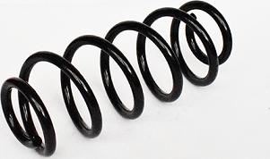 ASAM 73751 - Coil Spring car-mod.net