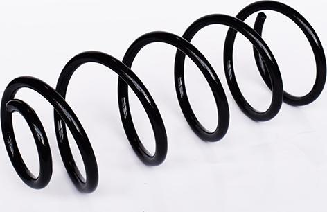 ASAM 73752 - Coil Spring car-mod.net