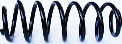 ASAM 73781 - Coil Spring car-mod.net