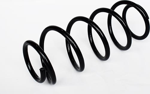ASAM 73735 - Coil Spring car-mod.net