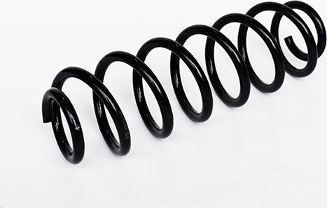 ASAM 73731 - Coil Spring car-mod.net
