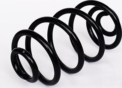 ASAM 73776 - Coil Spring car-mod.net
