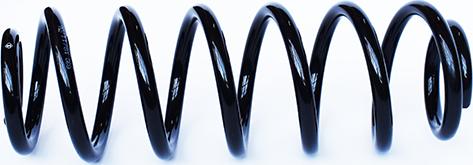 ASAM 73770 - Coil Spring car-mod.net