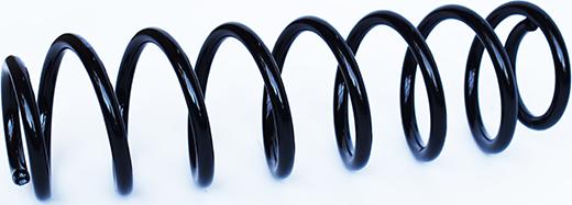 ASAM 73777 - Coil Spring car-mod.net