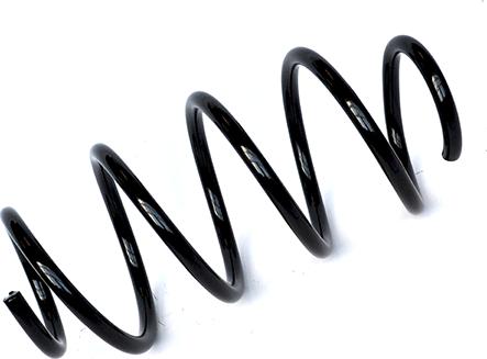 ASAM 72896 - Coil Spring car-mod.net