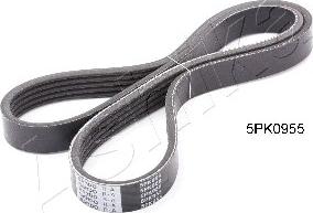 Ashika 112-5PK955 - V-Ribbed Belt car-mod.net