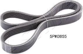 Ashika 112-5PK855 - V-Ribbed Belt car-mod.net